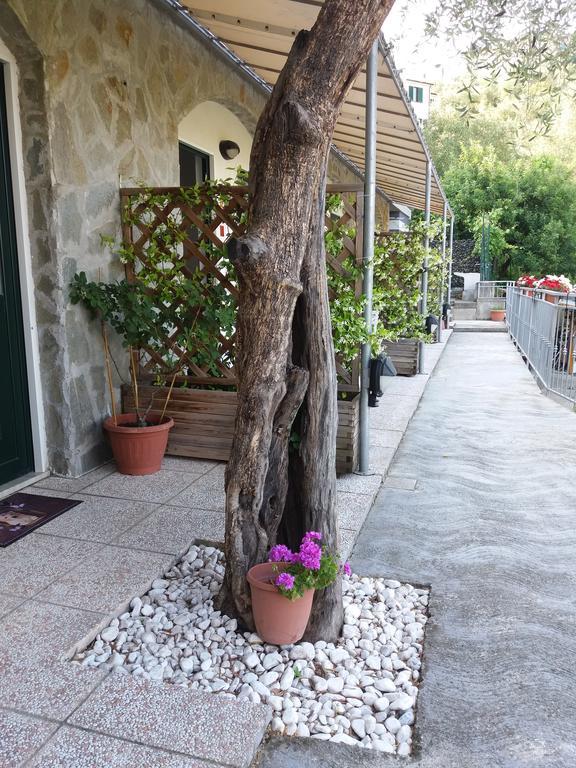 Affittacamere Arabafenice Vezzano Ligure Ngoại thất bức ảnh